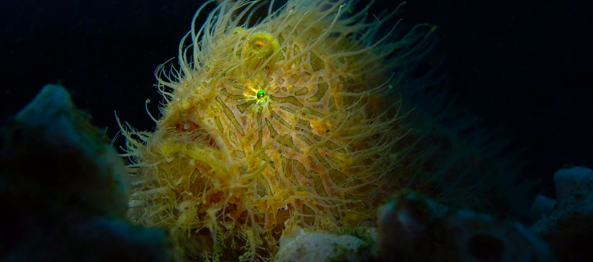 dive-bangka-slider