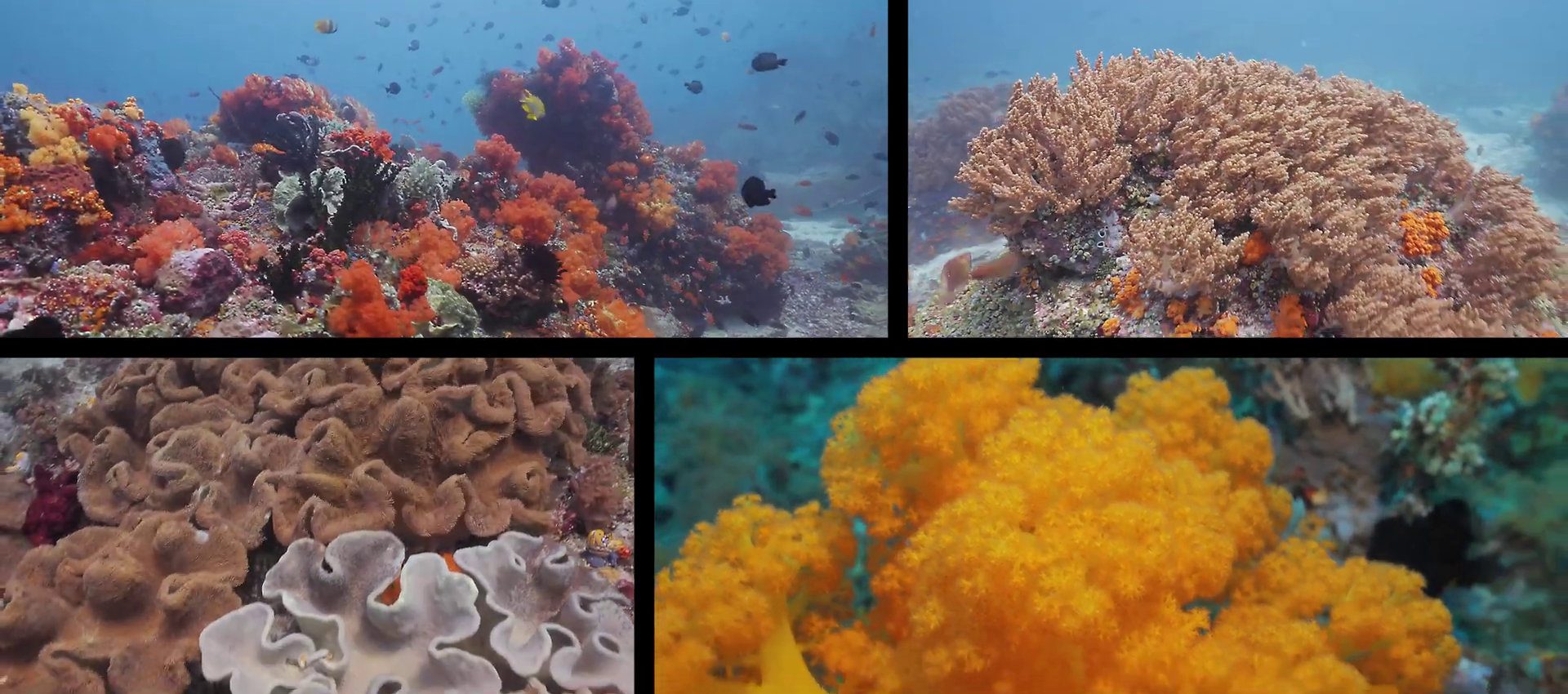 dive-bangka-slider-03