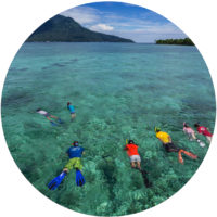 Snorkel Bunaken Marine Park snorkel bunaken