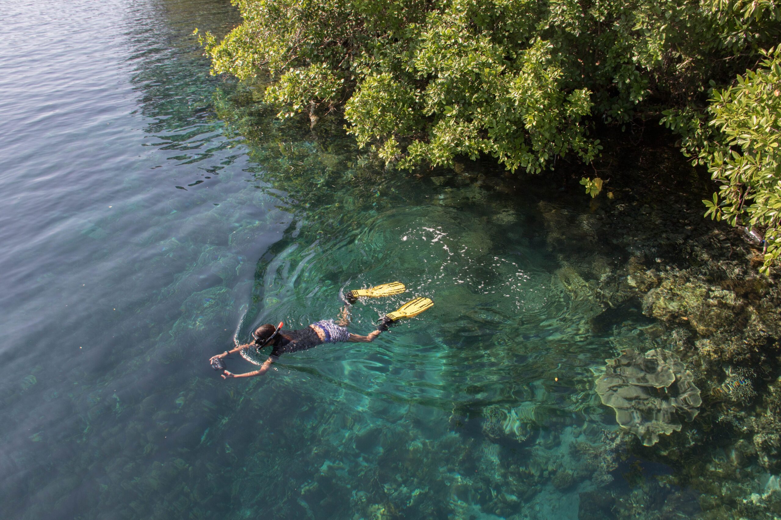 Snorkeling in Manado, Bangka & Lembeh