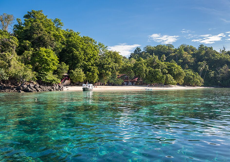 Murex Bangka beach