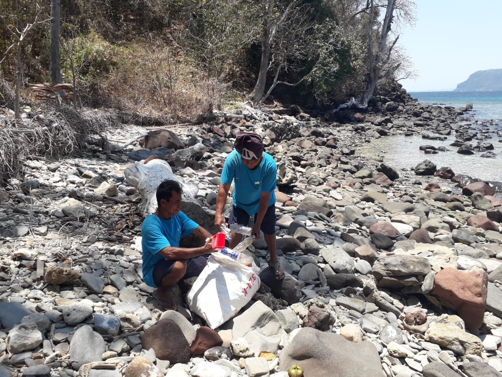 World Environment Day: a safer marine ecosystem 