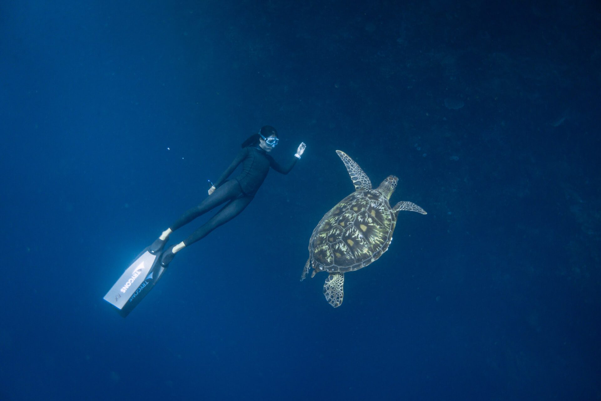 freediving in Bunaken