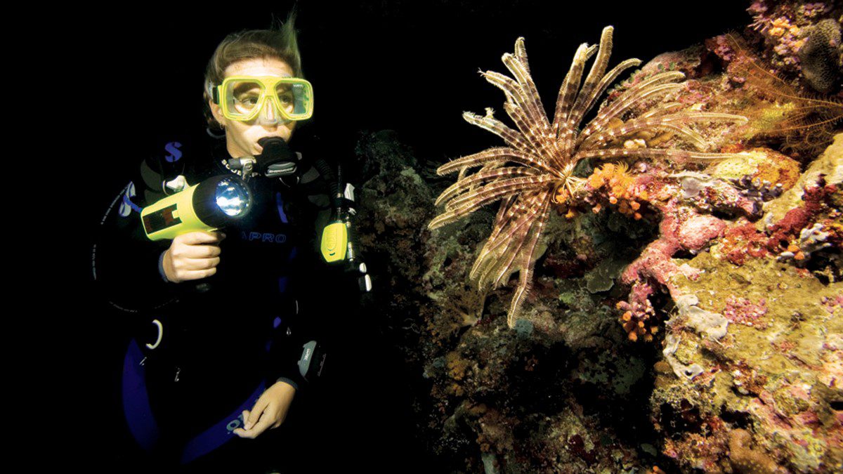 PADI Advanced Open Water Course - Night Diving