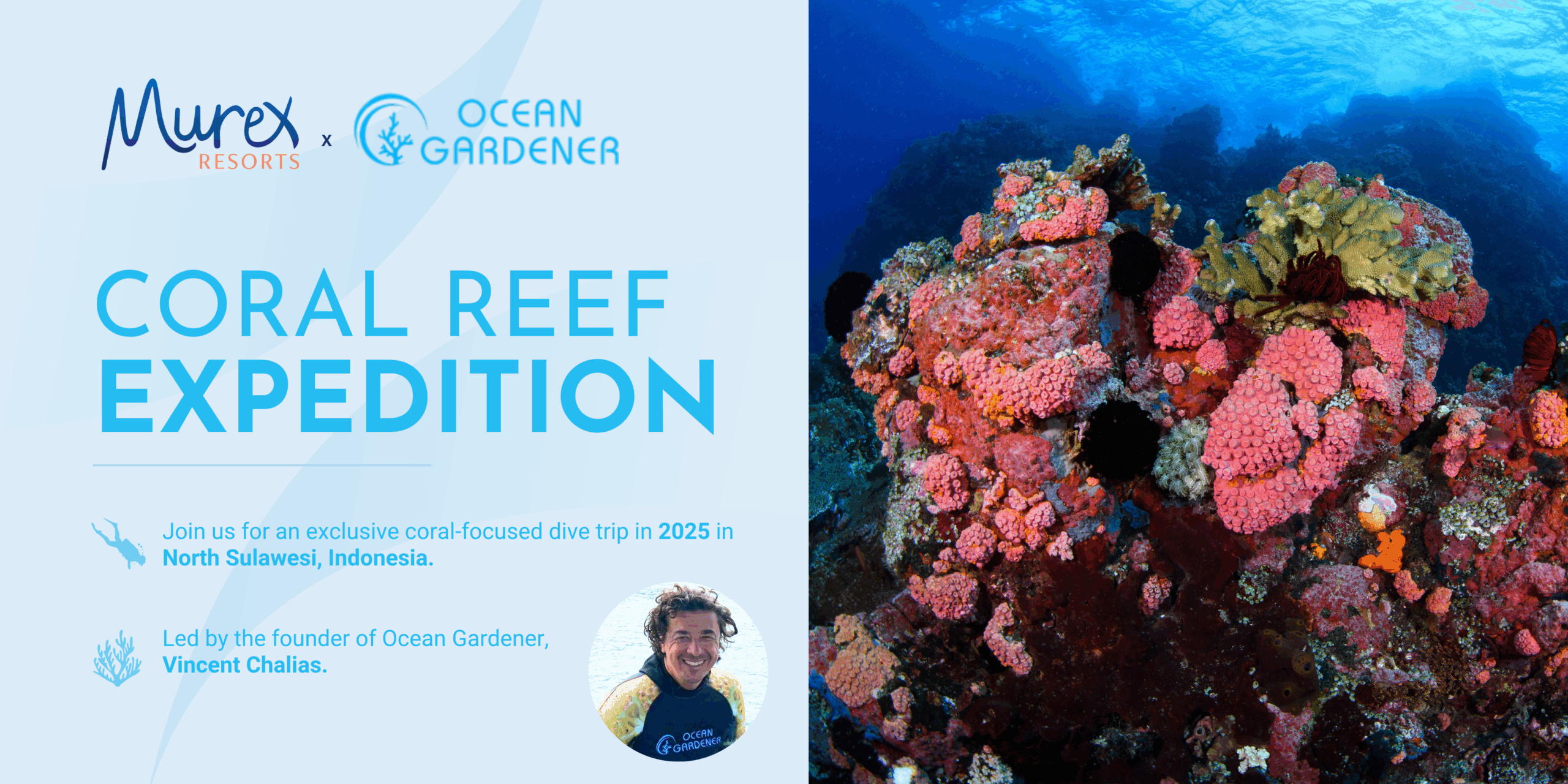 coral reef  Discover a Coral Paradise with Ocean Gardener and Murex Resorts in