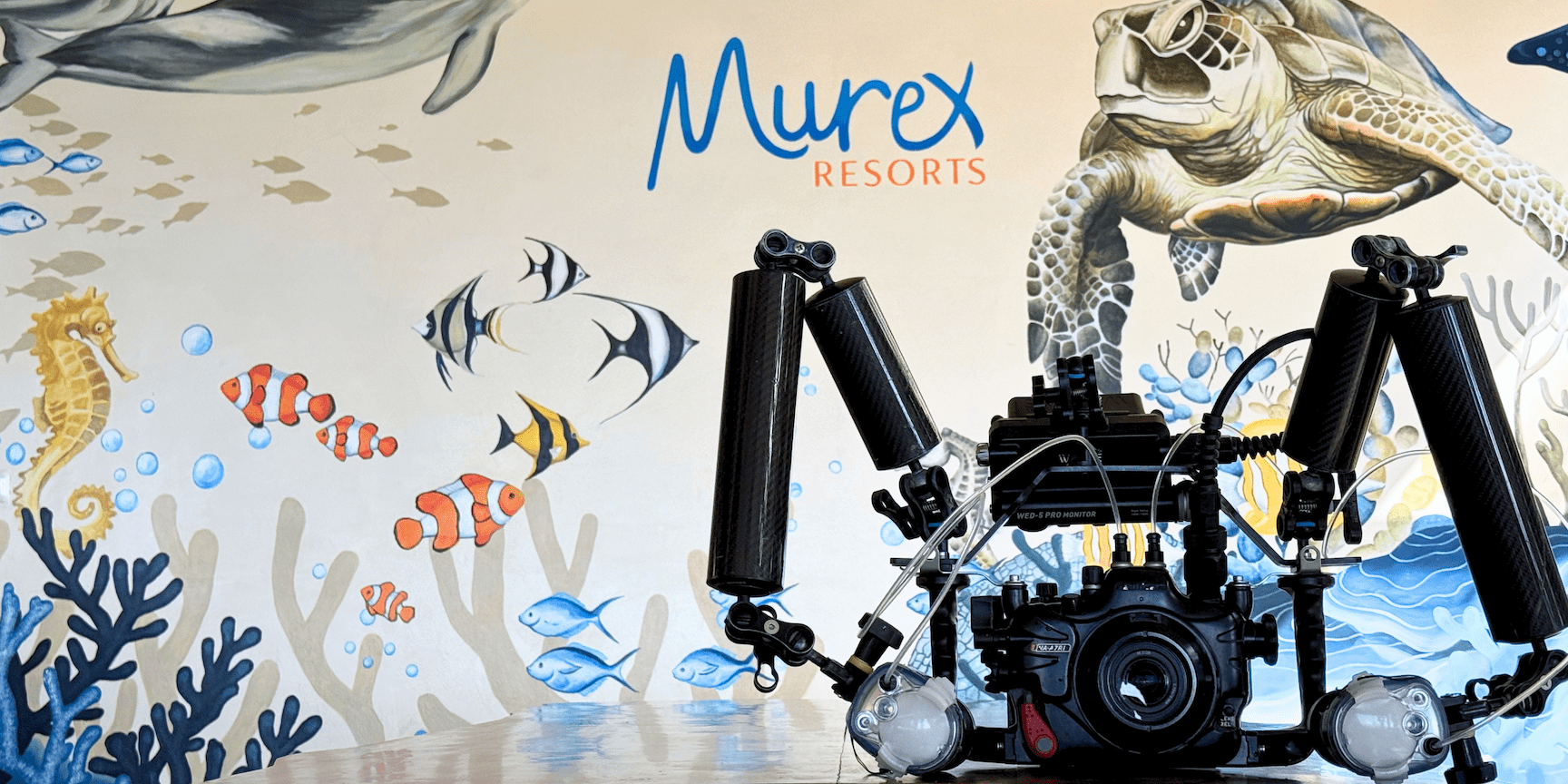 Underwater Photography in Murex Resorts